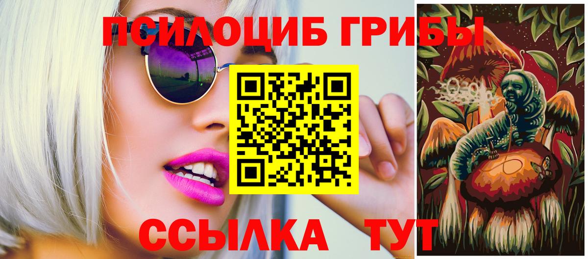 Псилоцибиновые грибы Cubensis Горячий Ключ